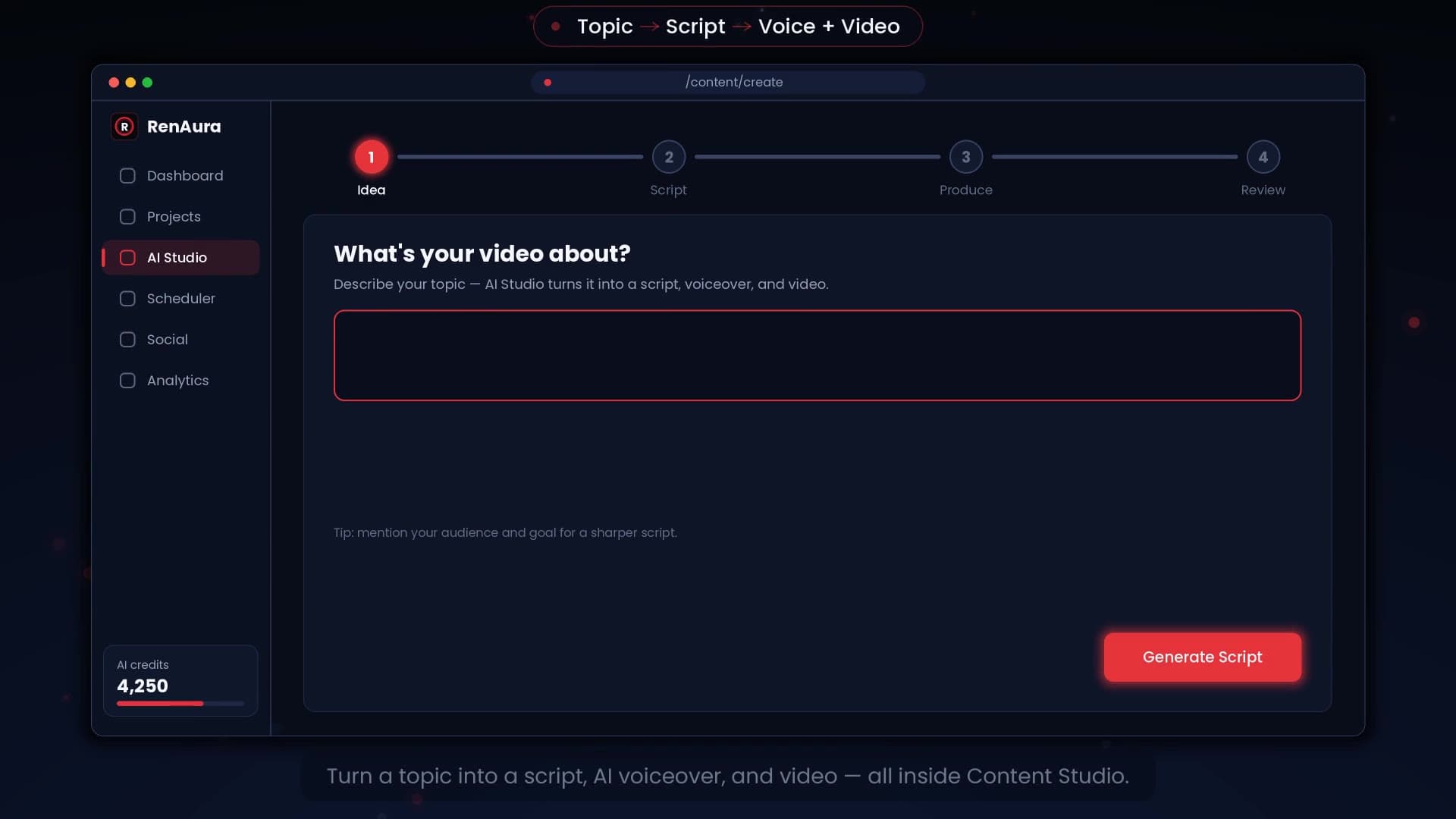 RenAura AI Studio screen asking what the video is about, with steps from idea to review